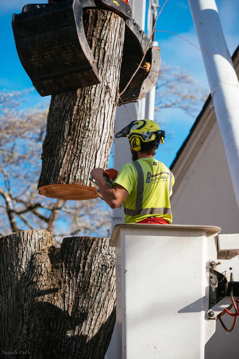 Hero image for South Valley Tree Care